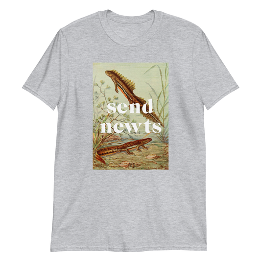 Send Newts